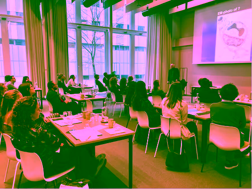 A presentor and audience at the Netherlands Respiratory Society 13th Young Investigator Symposioum