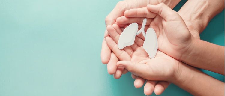 A photo of adult and child hands holding a lungs model