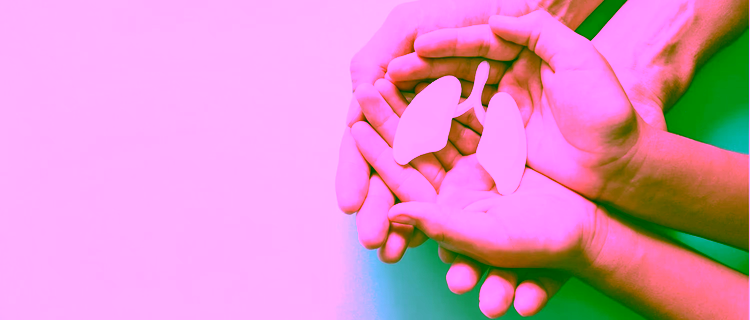 Photo of adult and child hands holding lung
